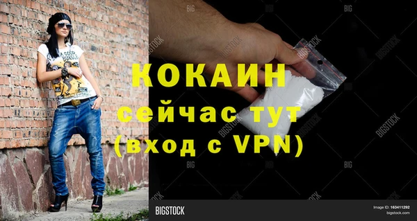 кокс Алексин