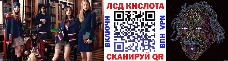 где найти Порхов Марки N-bome 1,8мг