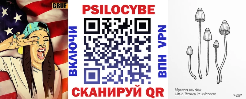 Псилоцибиновые грибы мицелий  магазин продажи наркотиков  Порхов 